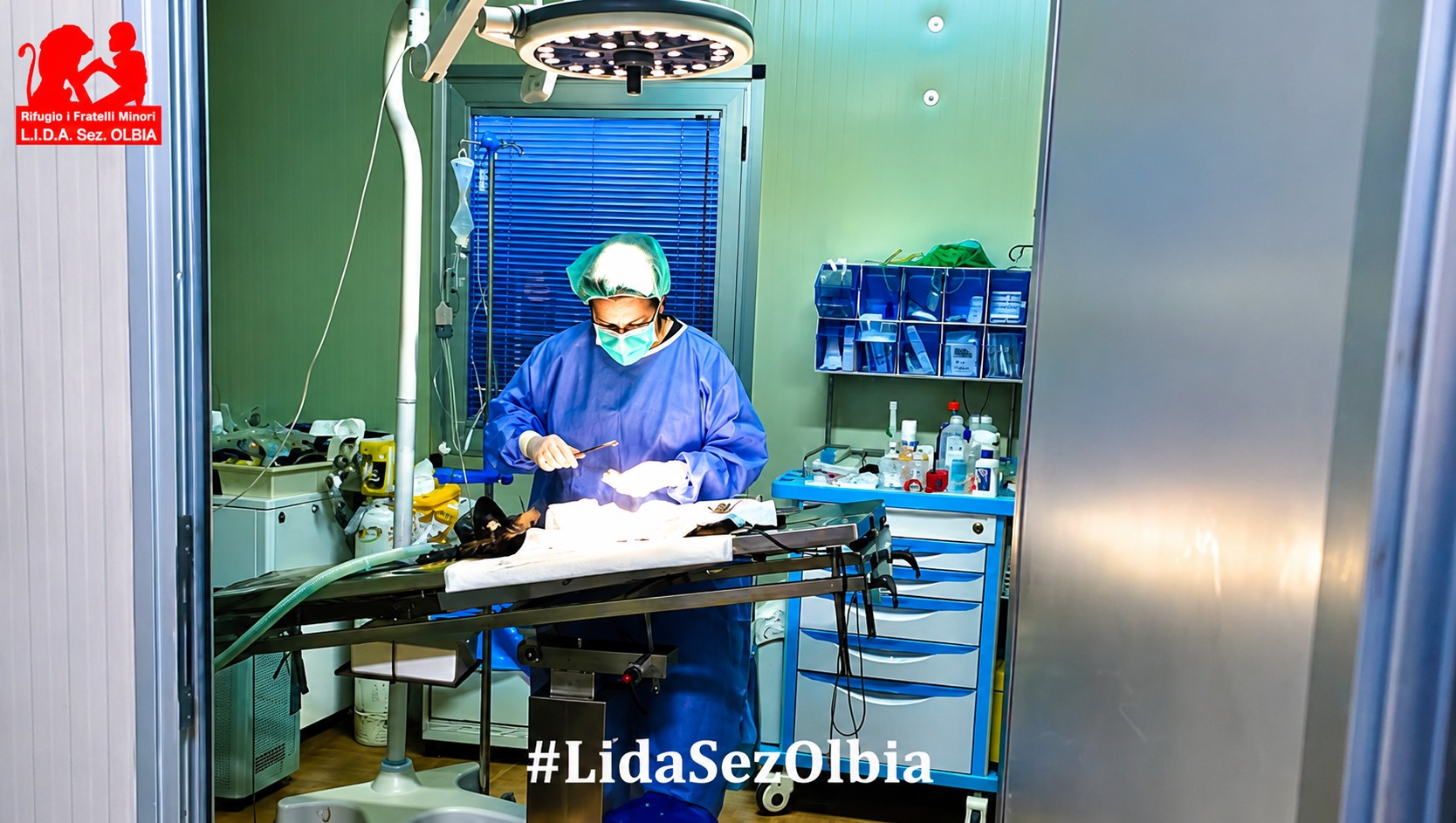 Olbia, conclusa la straordinaria campagna della LIDA, Cosetta Prontu racconta: 