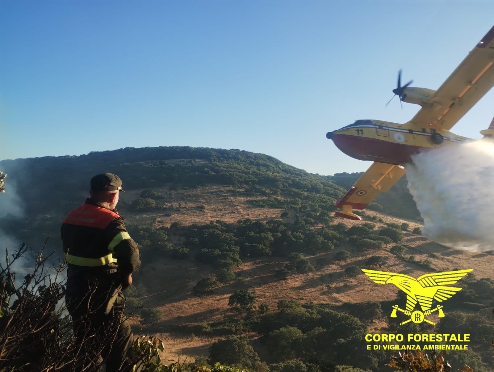 Loiri Porto San Paolo, incendio in corso: due canadair in azione