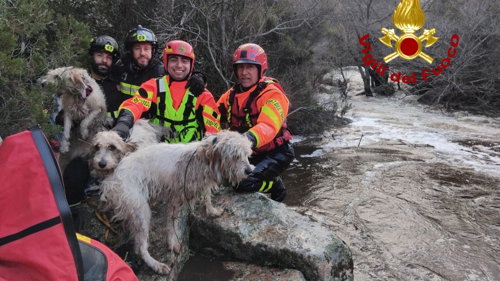 Aggius, i Vigili del fuoco salvano tre cani bloccati lungo un torrente in piena