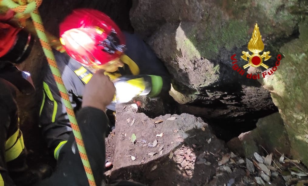 Cani incastrati in un cunicolo salvati dai Vigili del fuoco