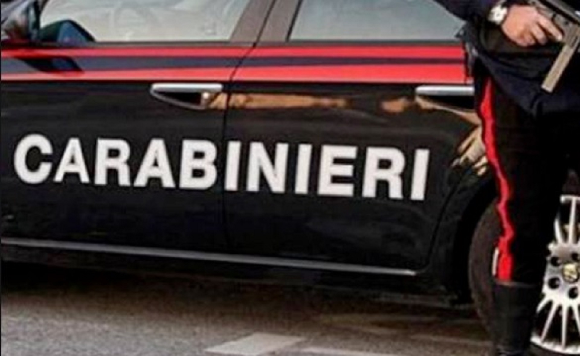 Cane morde la figlia: 44enne lo uccide e lo trascina con un furgone 