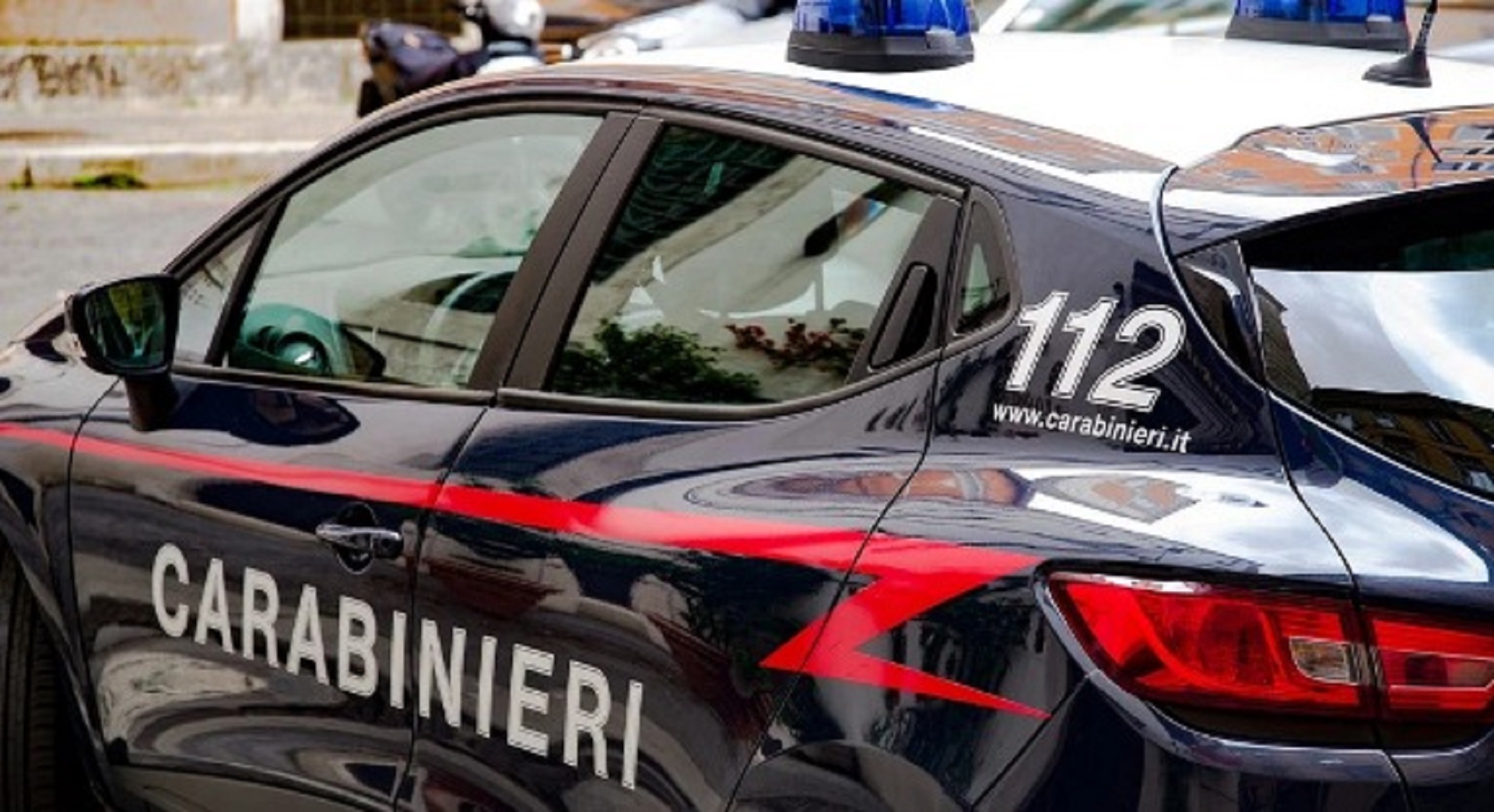 Nord Sardegna, incidente sulla ex 131: cinghiale invade carreggiata