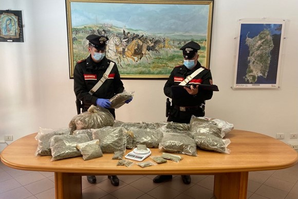 Olbia, in casa oltre 14 chili di marijuana: arrestata coppia 