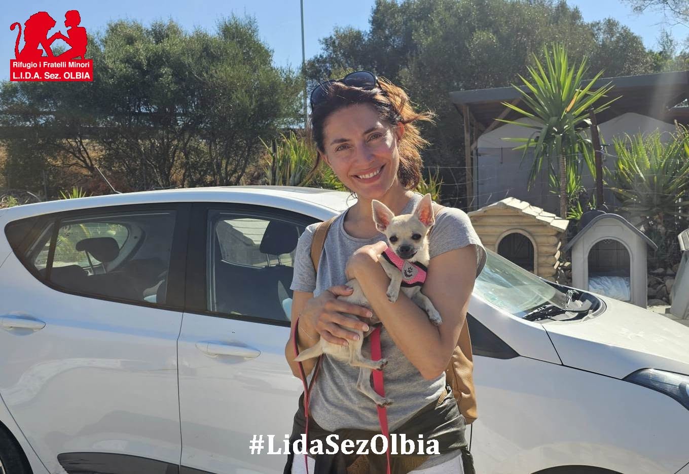 Caterina Murino vola da Parigi a Olbia per far adottare Cip,  il piccolo cane della Lida