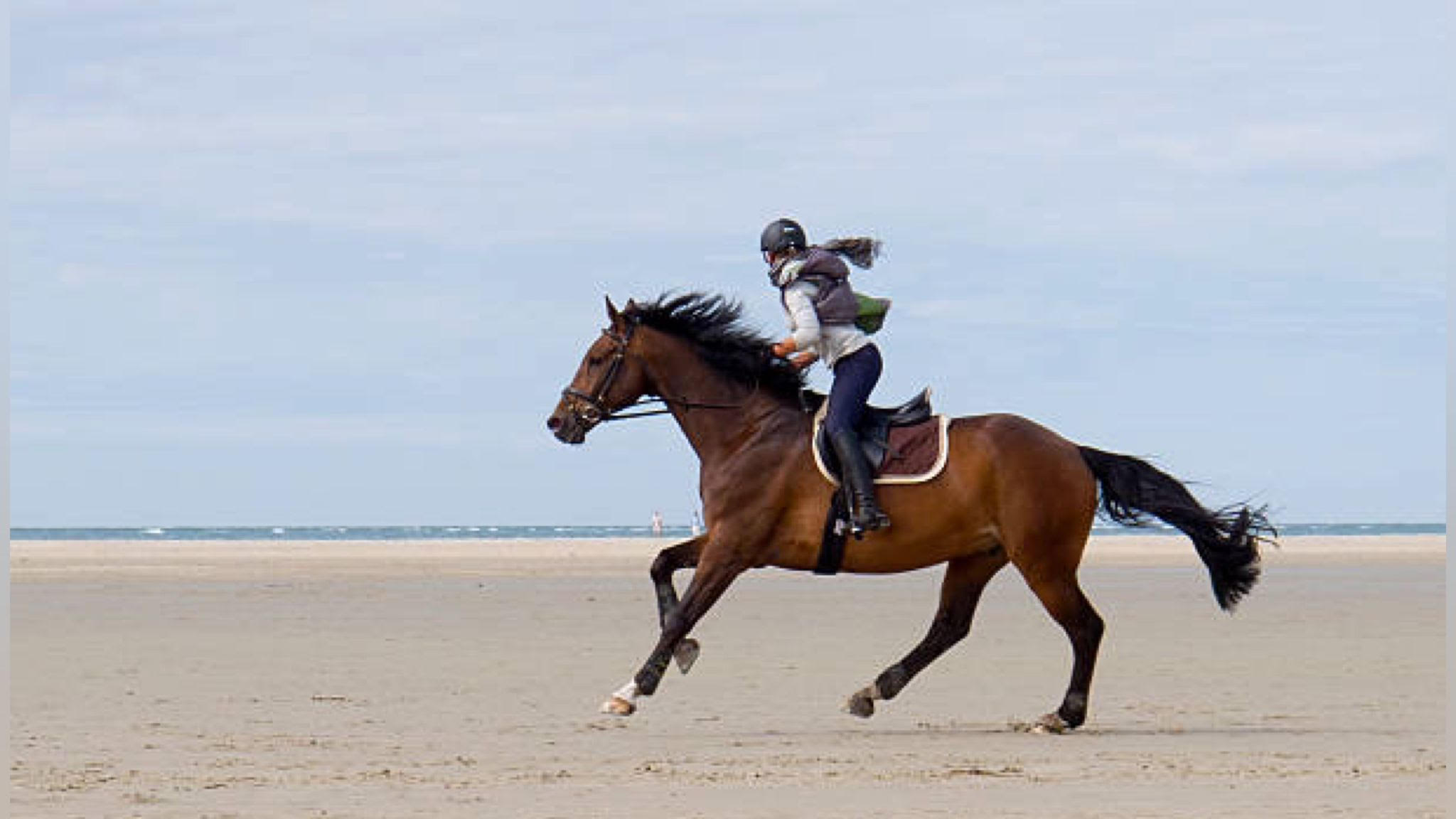 Siniscola, con i cavalli sulla spiaggia: attimi di paura
