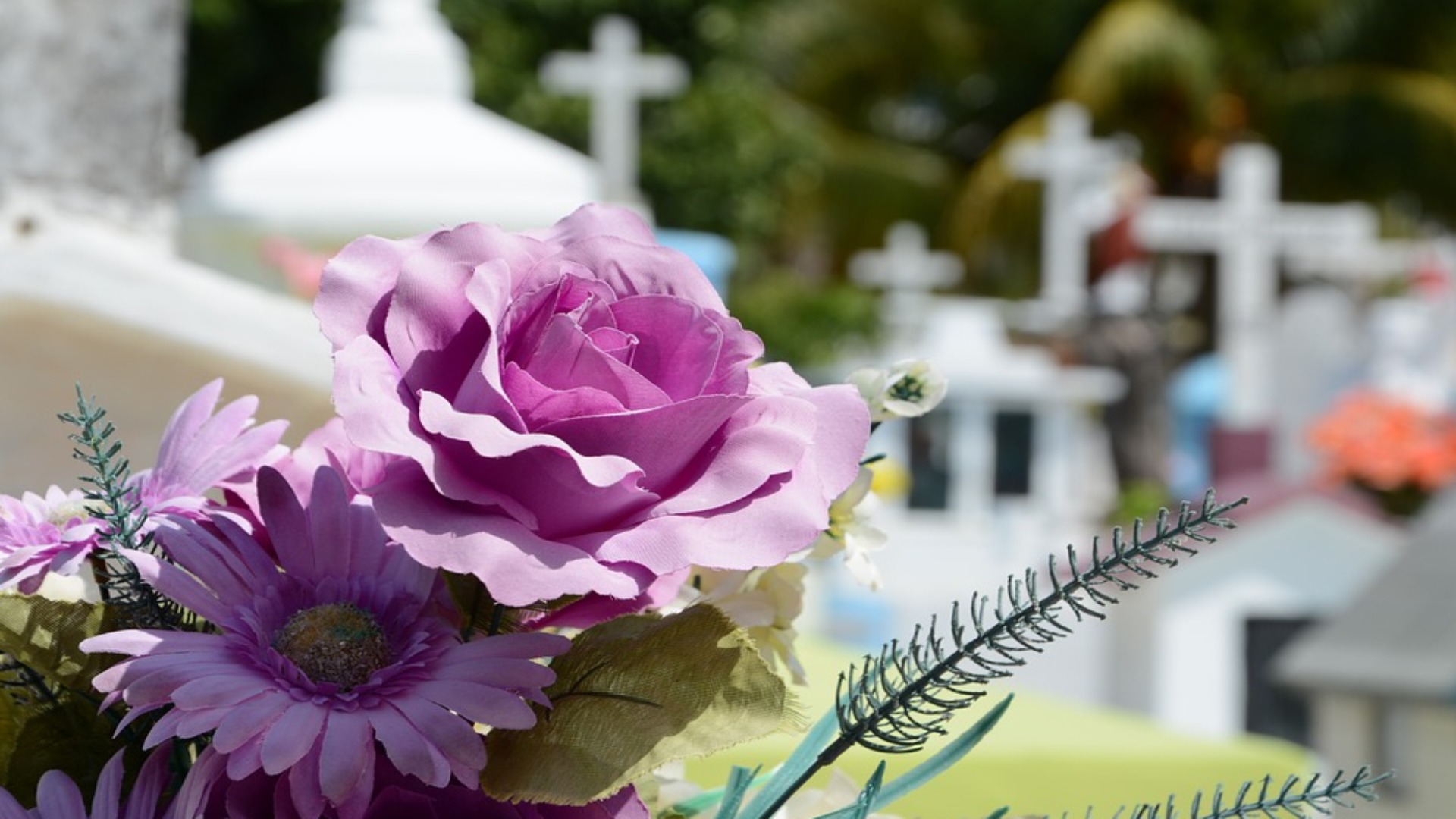 84enne chiusa in cimitero: salvata da Polizia