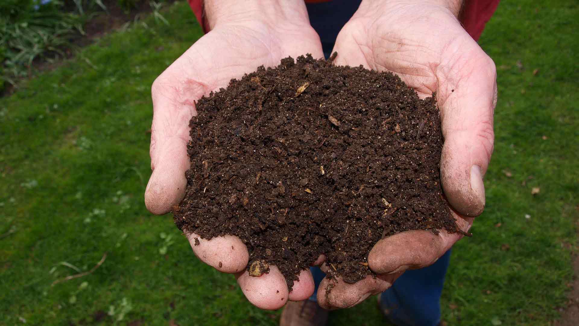 Olbia, ambiente: alla Sardacompst trattate 9000 tonnellate di rifiuti 