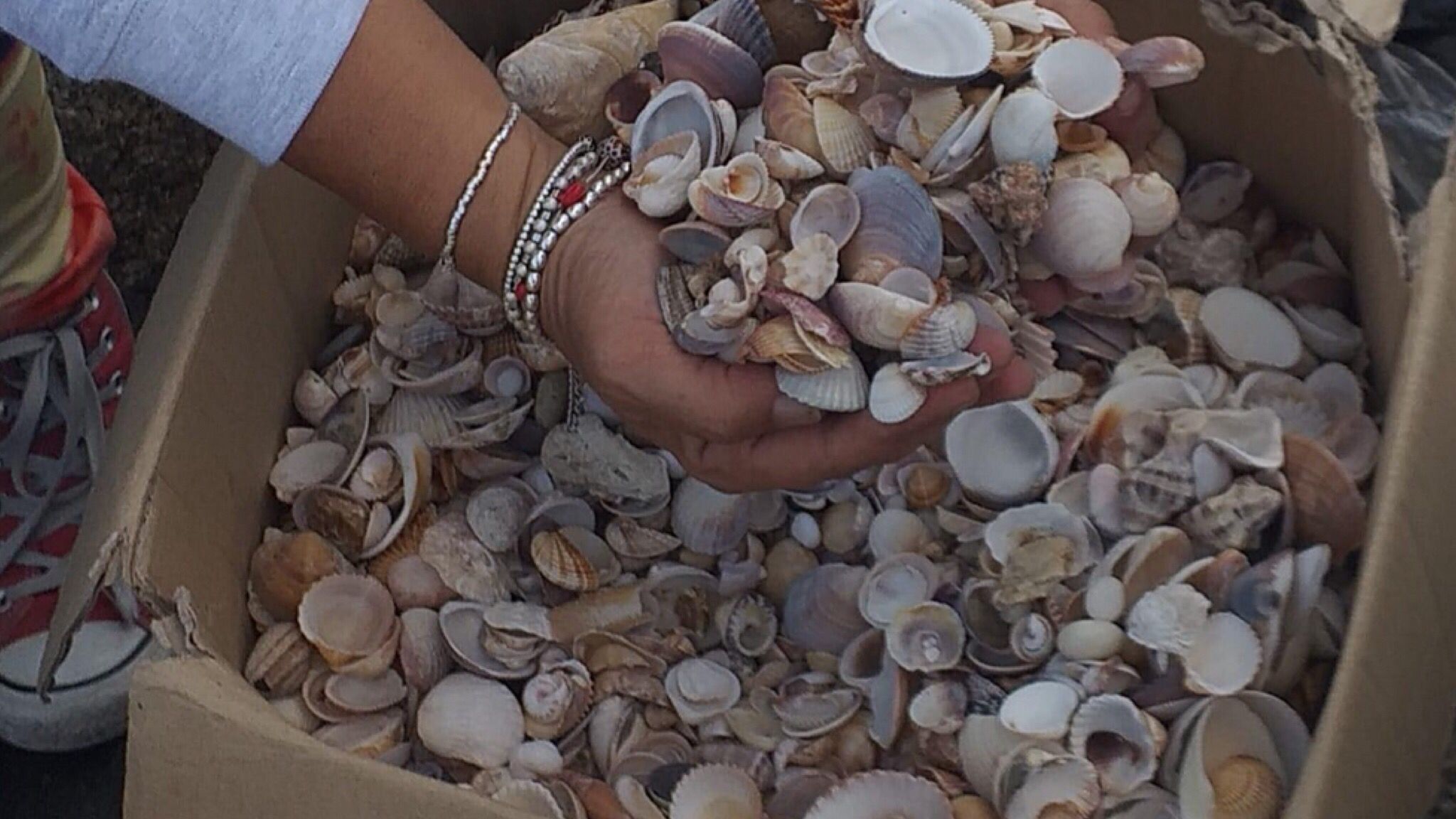 Furti in spiaggia: riportati in mare 900 kg di sabbia, sassi e conchiglie 