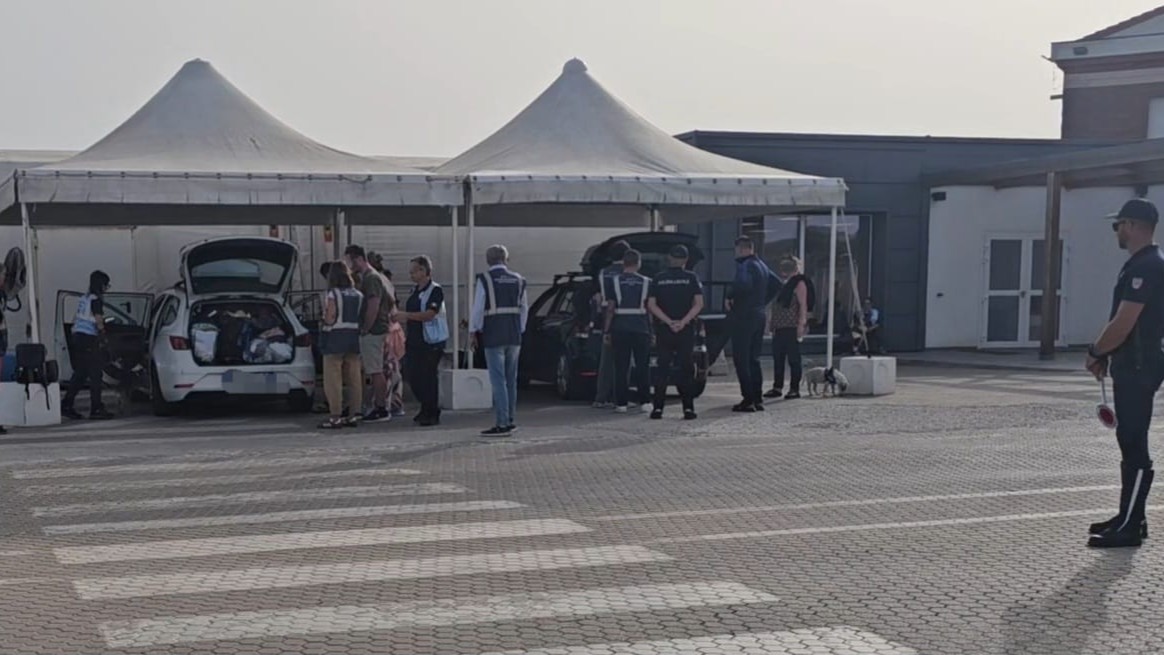 Olbia e Golfo Aranci, peste suina: 97 prodotti segnalati a Olbia