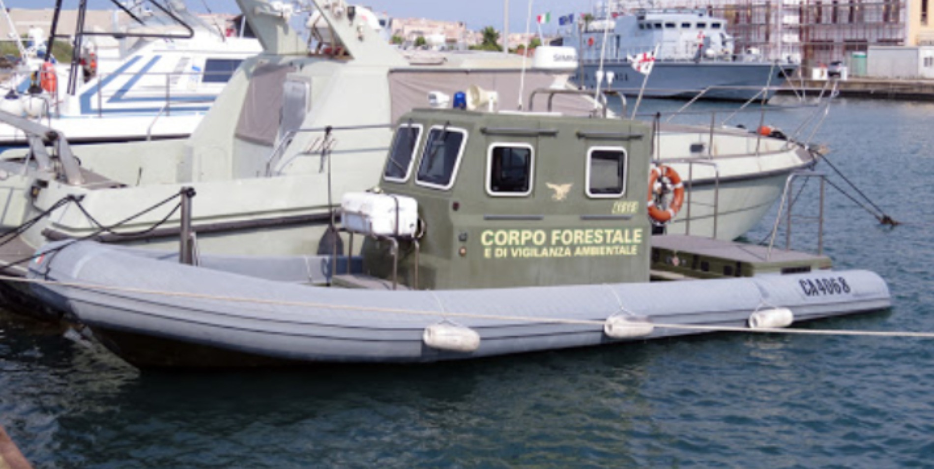 Corpo della Forestale scopre una “barracuda” in area protetta