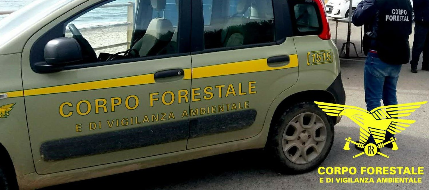 Sardegna: oggi spenti 14 incendi, distrutti ettari di pascolo e boschi