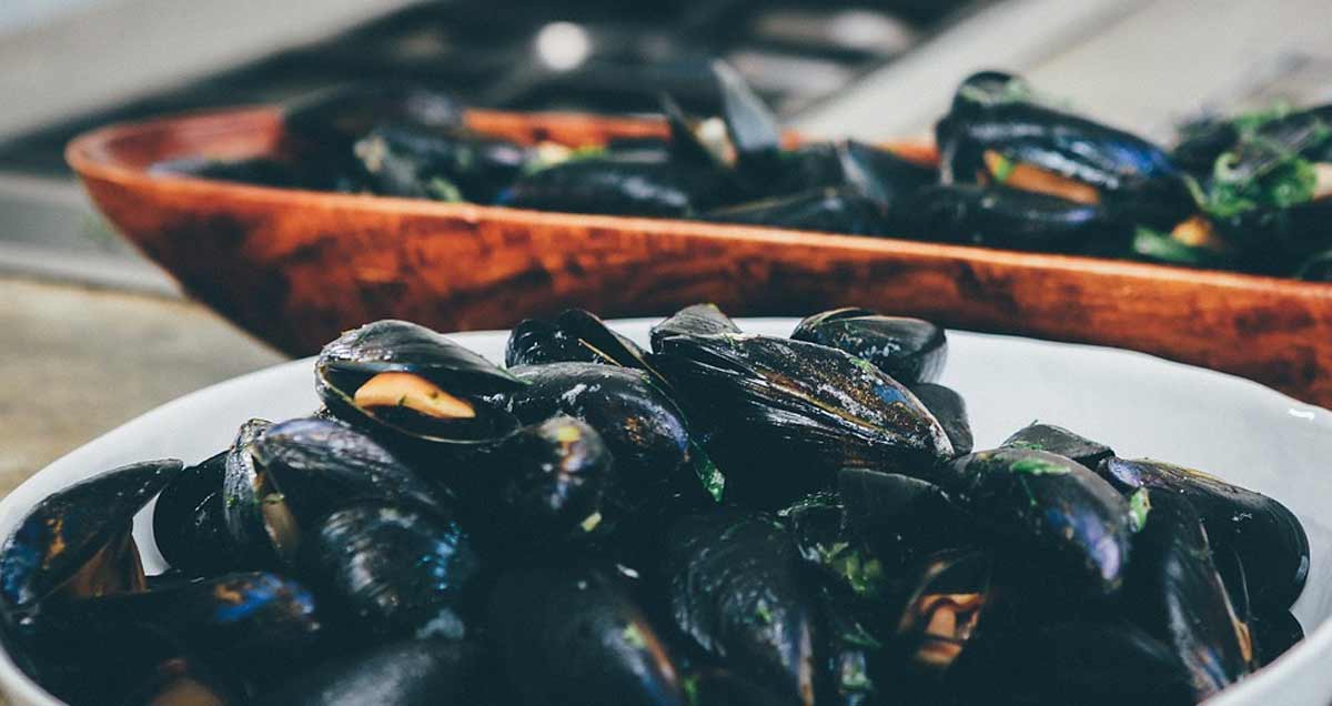 Cozze Olbia, un altro successo: assegnate concessioni al Lido del Sole