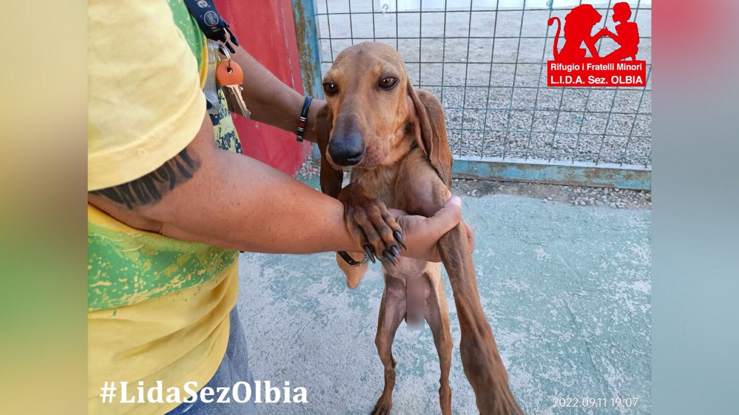 Olbia: ecco Eolo 