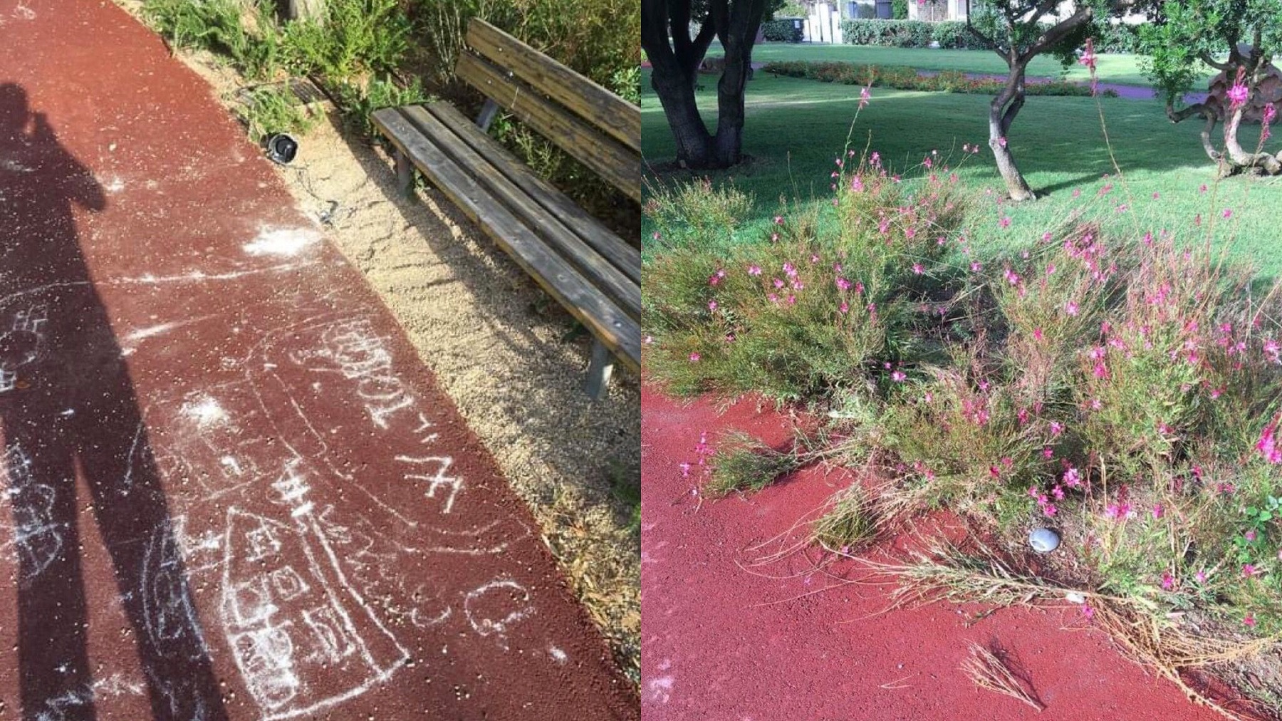 Golfo Aranci, vandali nella notte nel nuovo parco Angela Madeddu