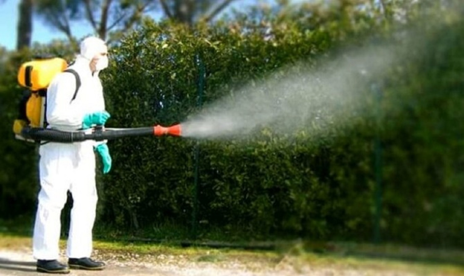 La Maddalena, disinfestazione: ecco le vie