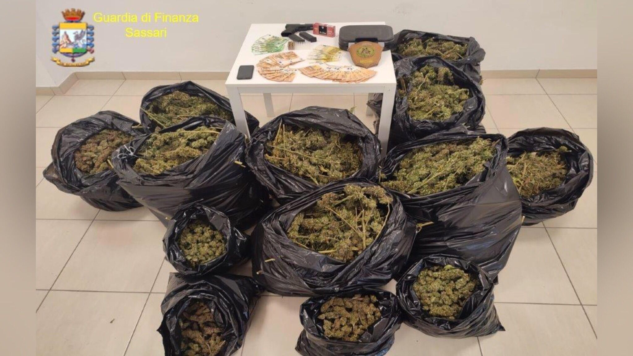 Olbia, 37 kg di marijuana in appartamento: un arresto