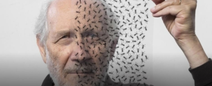 Porto Cervo Capitale del Pensiero con il Premio Costa Smeralda 2026