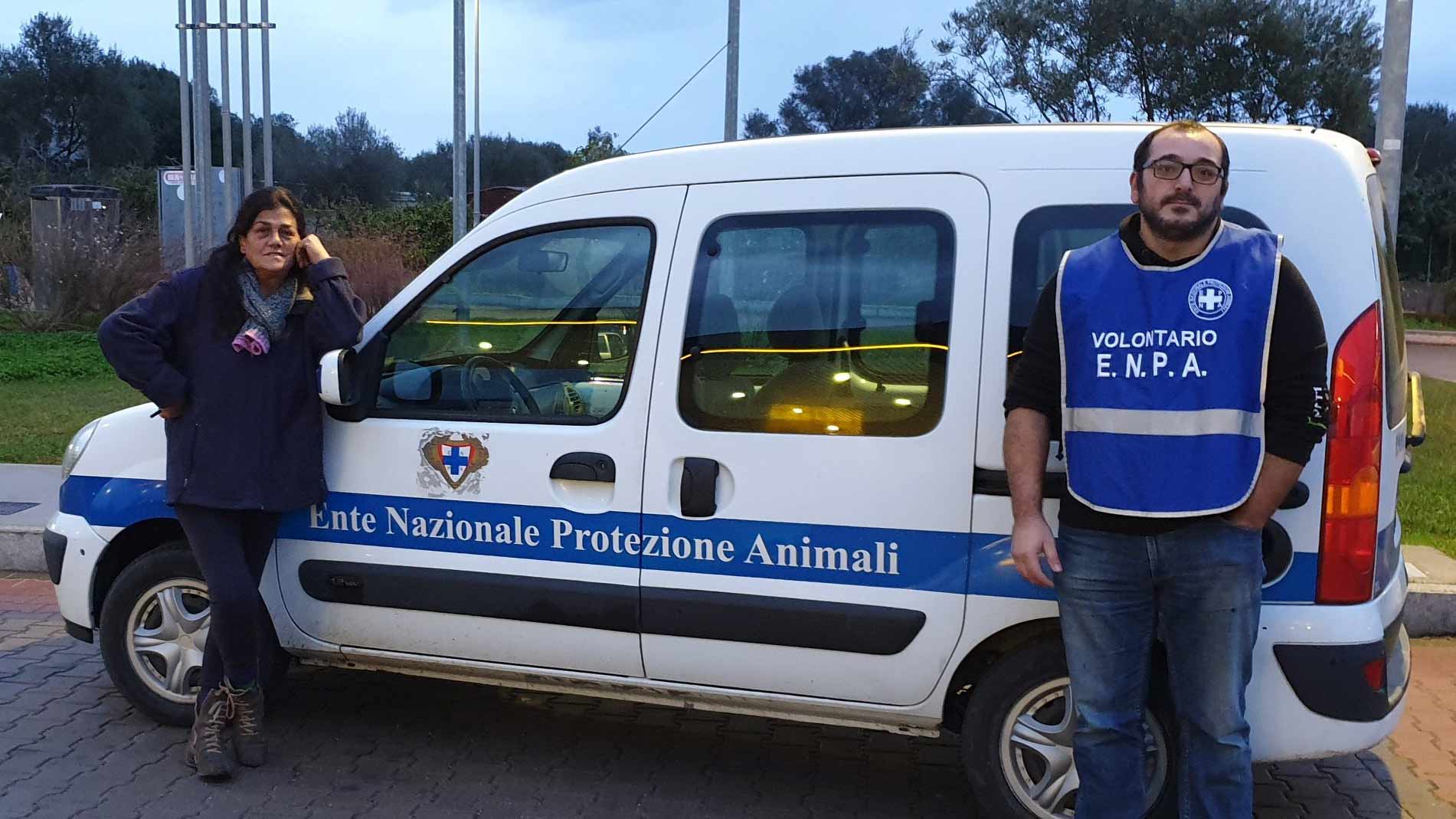 La Maddalena, randagismo e normativa: tavola rotonda con Enpa e UniSS