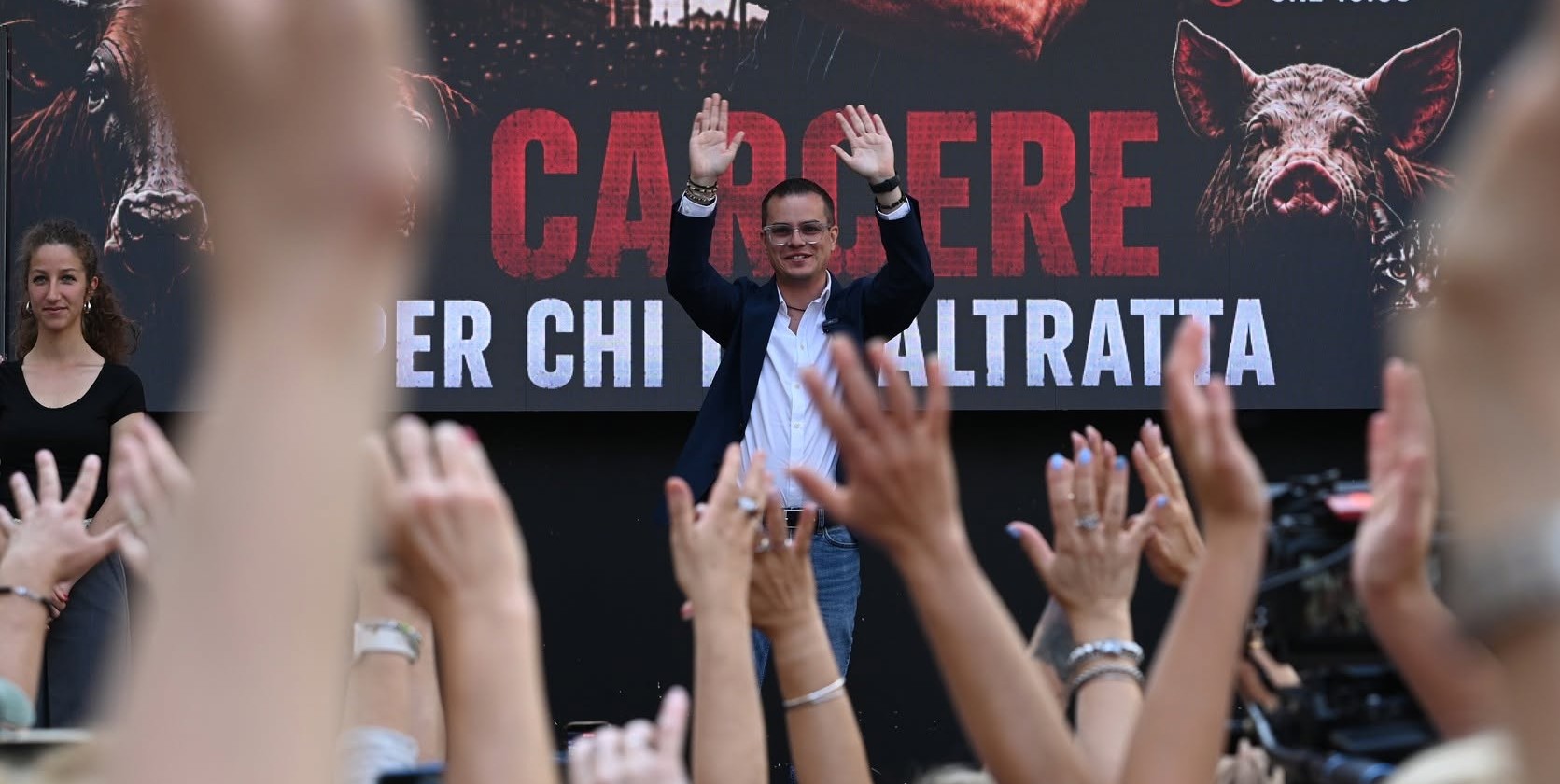 Olbia, Rizzi accusa Nizzi ma sul randagismo emerge verità scomoda: i volontari sono divisi