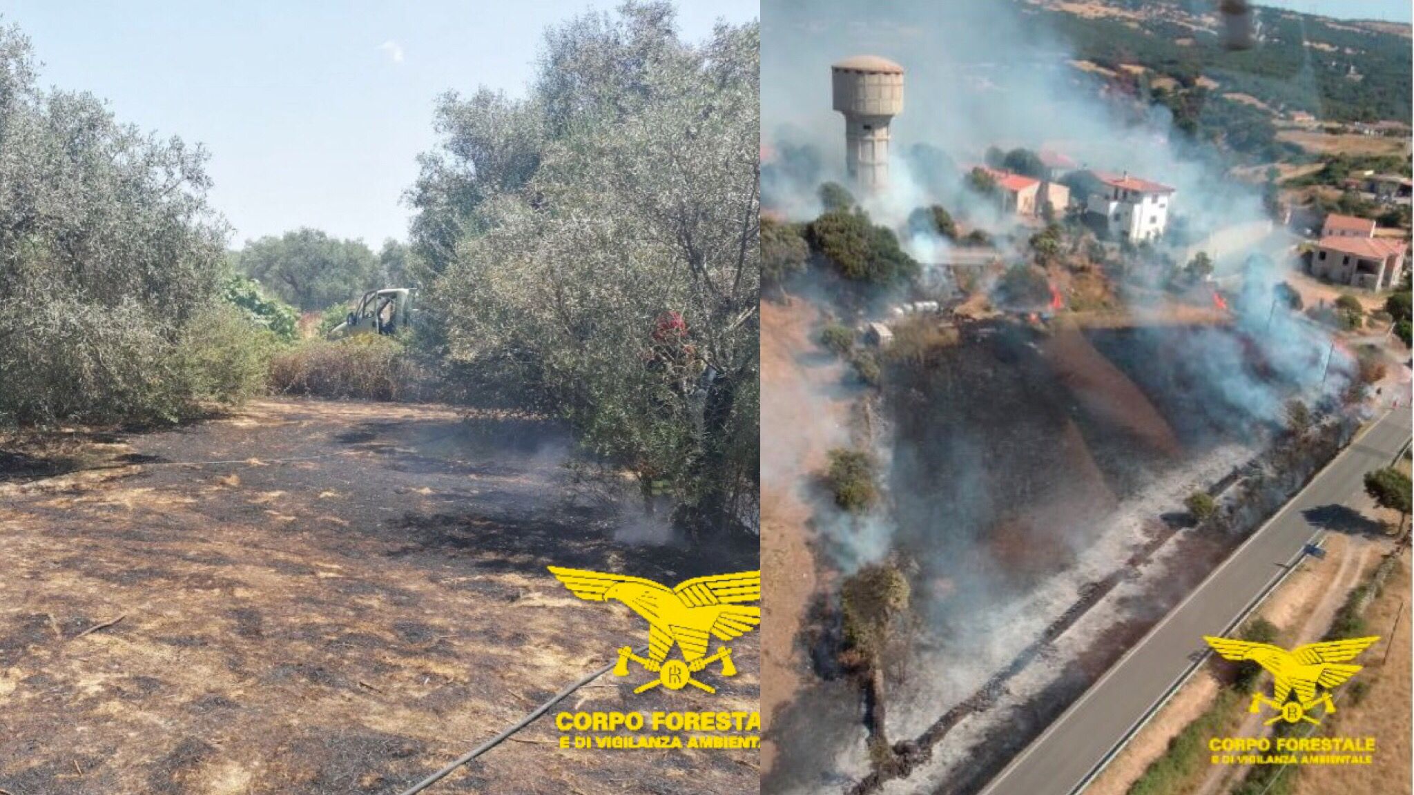 Sardegna a fuoco: ieri 17 incendi