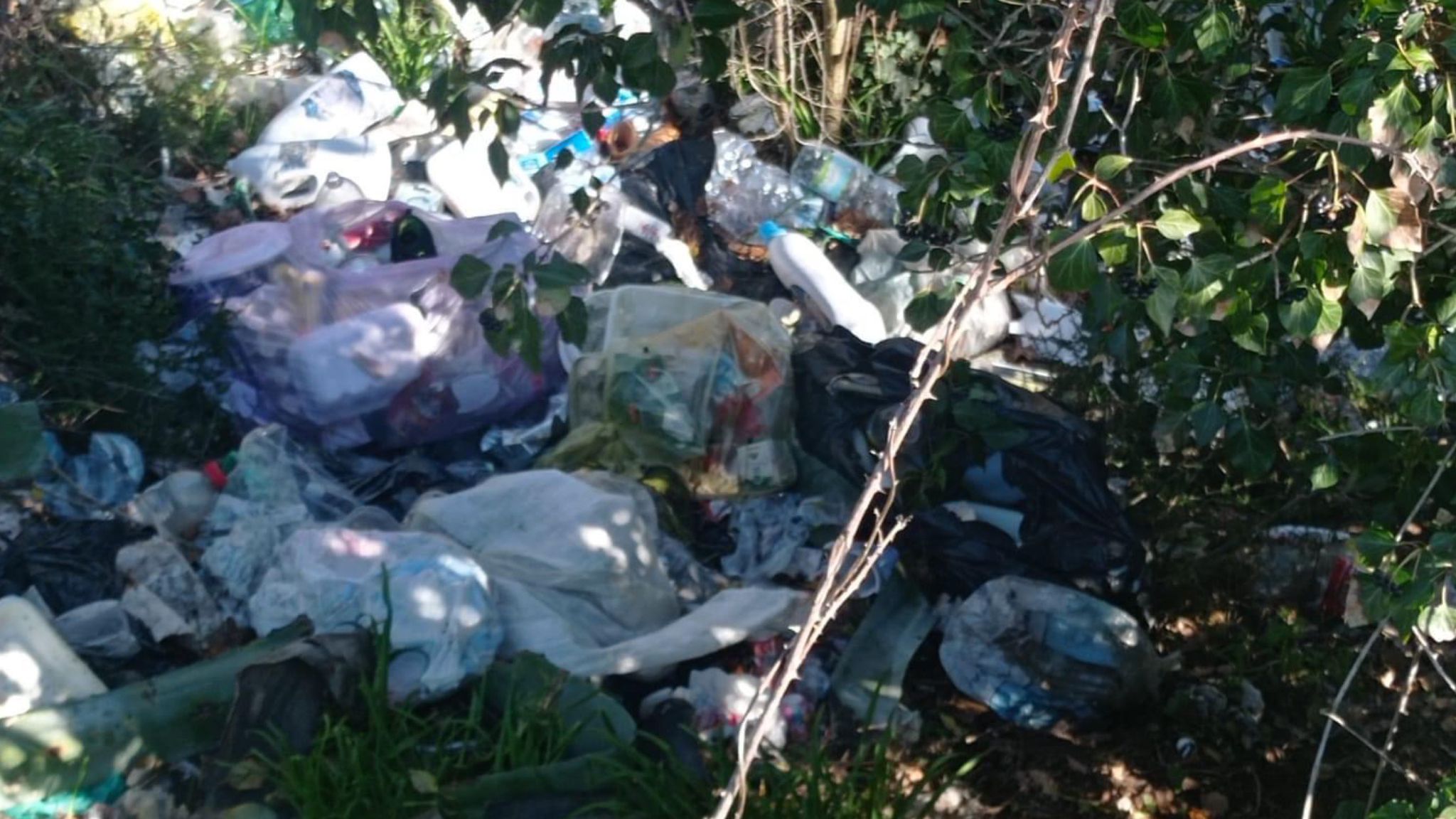 Buddusò: rifiuti abbandonati in campagna