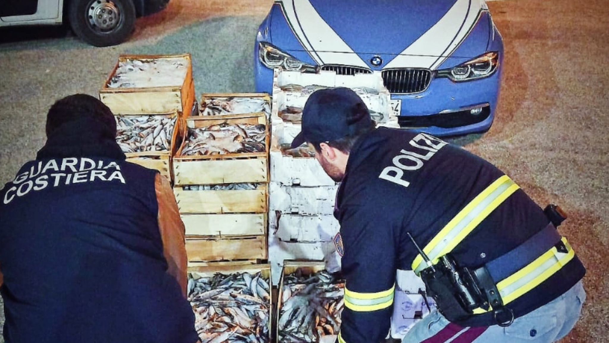 Olbia: sequestrati oltre 600 kg di pesce 