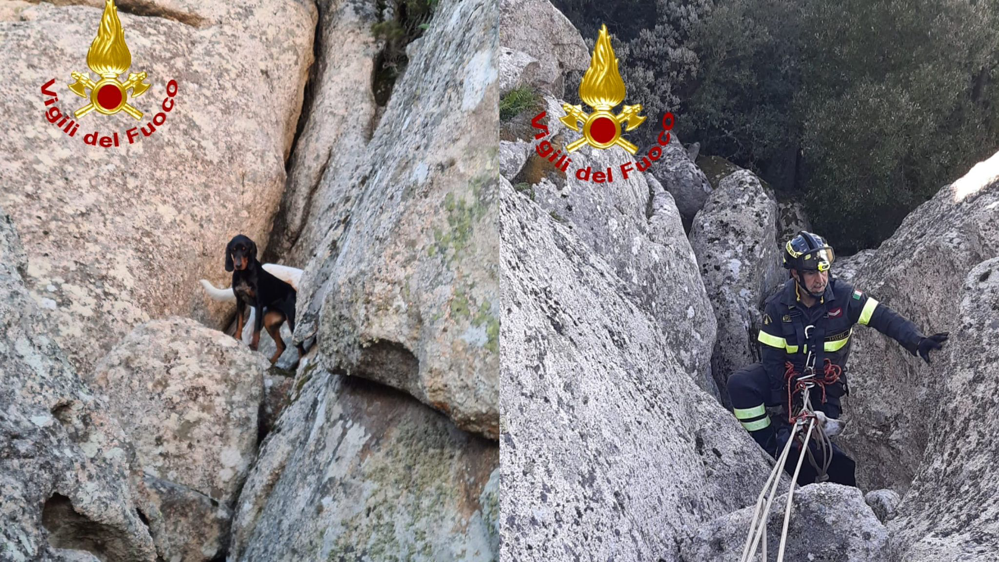 Luogosanto, cani bloccati tra le rocce: complicato  intervento di recupero 