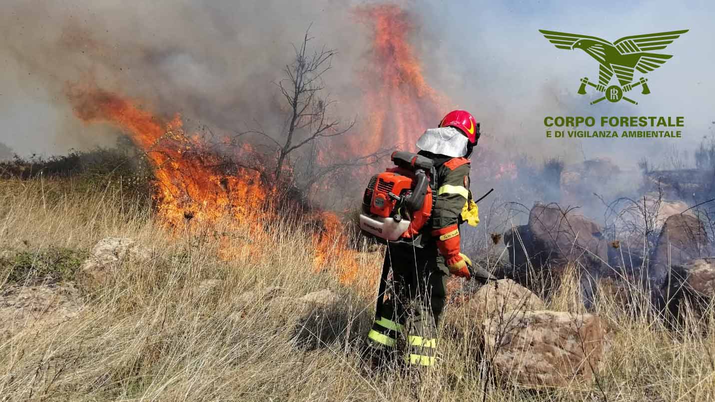 Gallura: incendio a Trinità d'Agultu