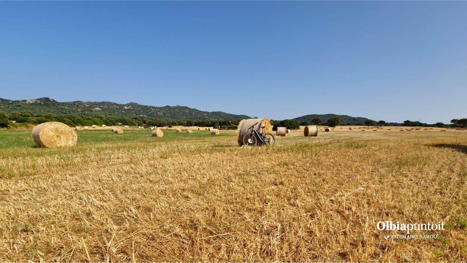 Le sculture d'oro della Gallura