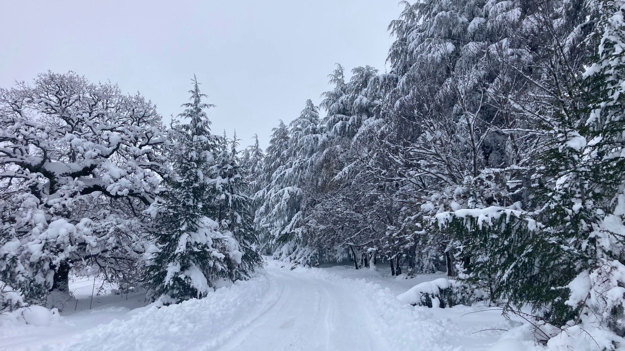 Nevicate copiose: cartoline del weekend