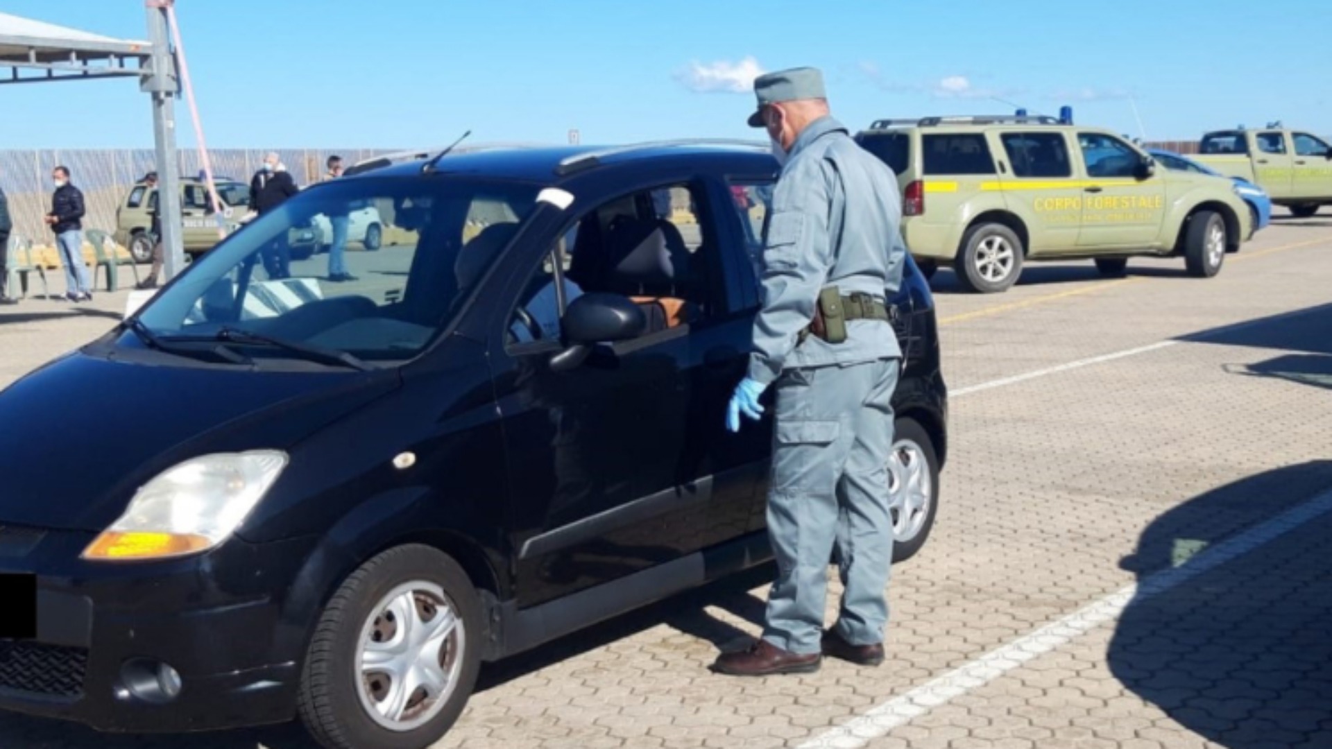 Porto di Olbia: 123 controlli da parte della Guardia Forestale
