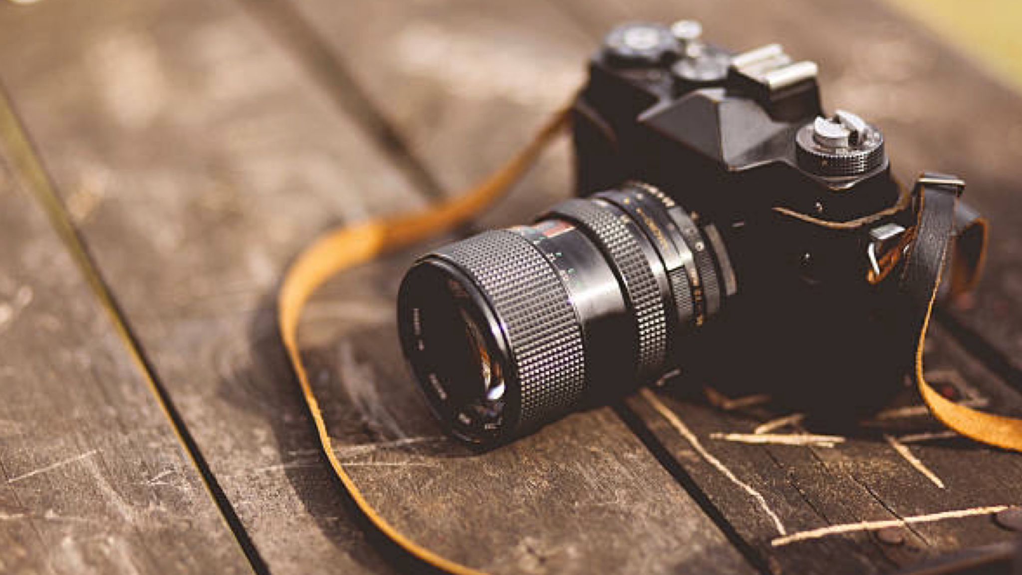 Alà dei Sardi, un concorso fotografico dedicato alla festa di San Francesco