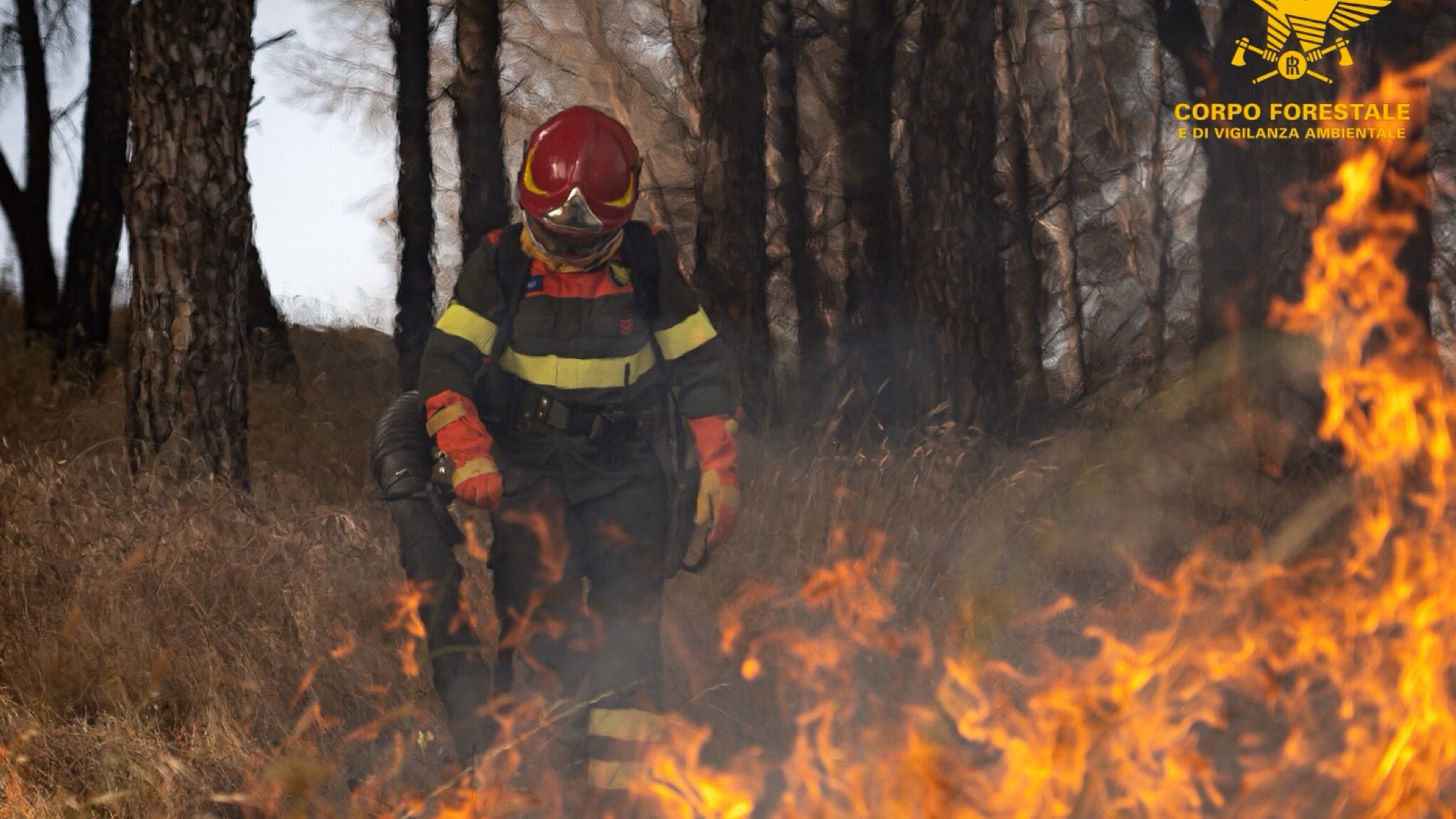 Olbia: ancora pericolo alto di incendio