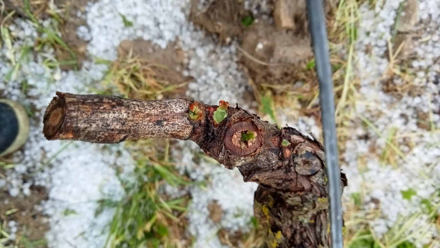 Maltempo, Sud Sardegna in ginocchio: grandinate e bombe d'acqua