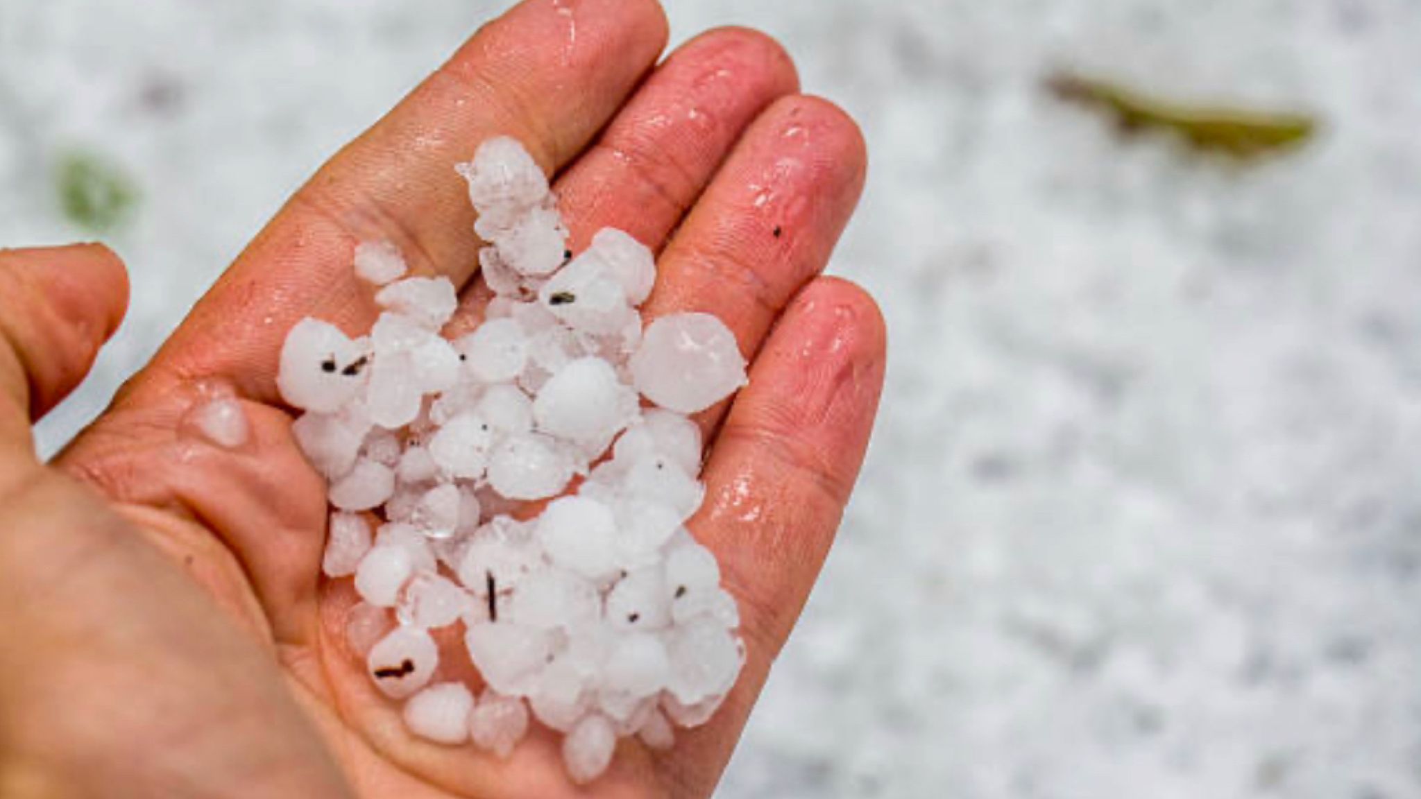 Gallura, maggio pazzerello: ecco la grandine in Sardegna