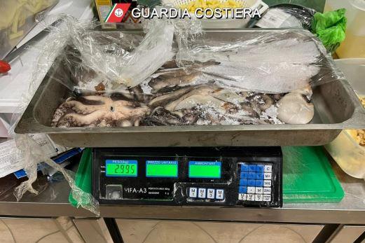 Nord Sardegna, sequestrati 11 kg di polpo: ristorante sanzionato