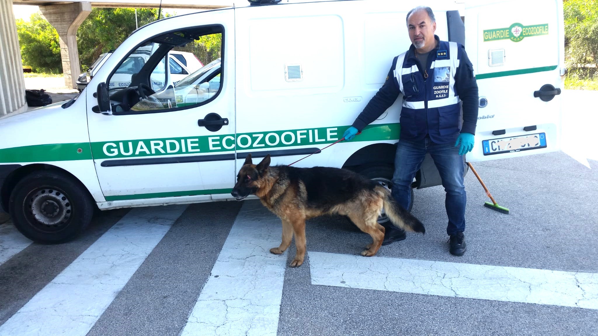 Guardie ecozoofile Olbia: 7.339 gli interventi portati a termine