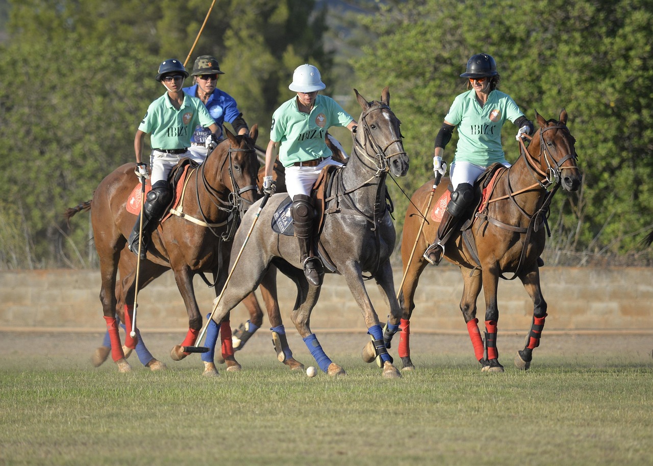 Golfo Aranci, PalaHorse: un esempio di inclusione e sportività che supera ogni barriera