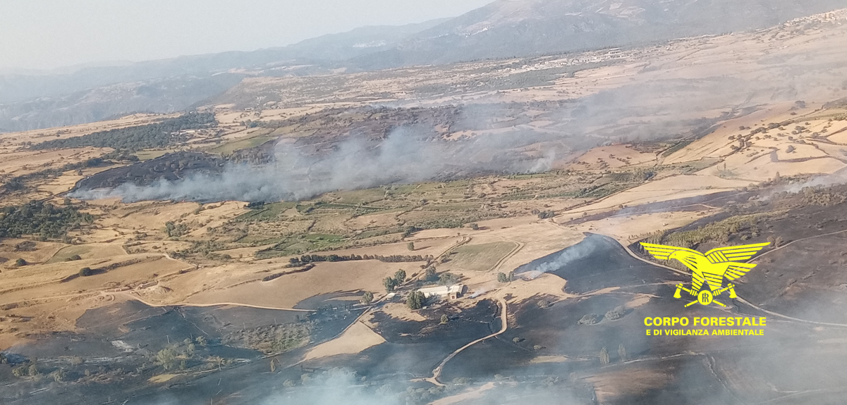 Sardegna in fiamme: 16 incendi e interventi aerei di emergenza