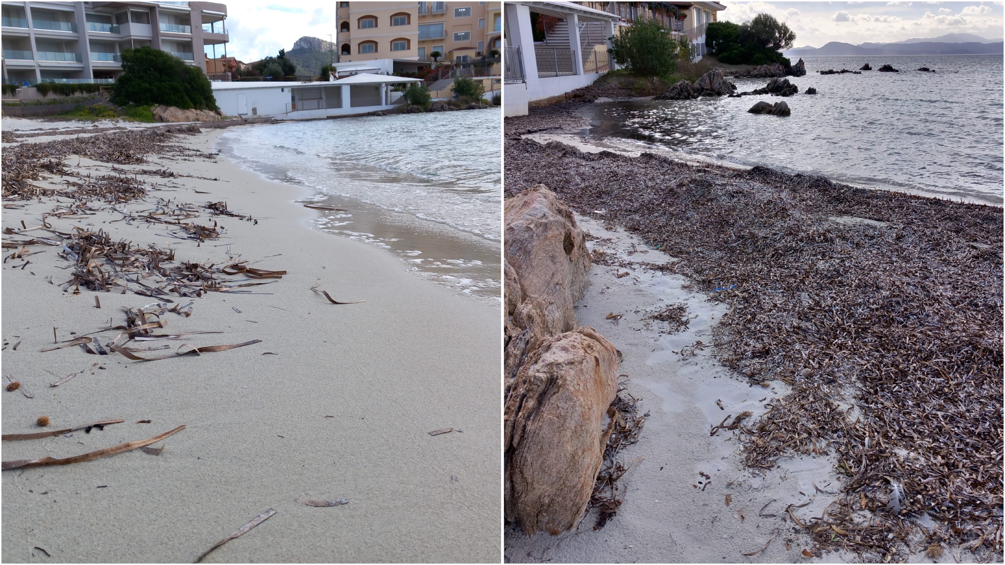 Golfo Aranci, continua il fenomeno dell’erosione costiera: sempre meno sabbia nelle spiagge