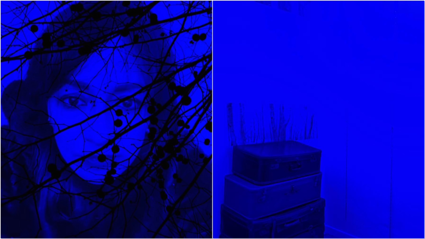 Olbia: l'arte di Alessandra Cossu tra visione e mistero alla Little Gallery