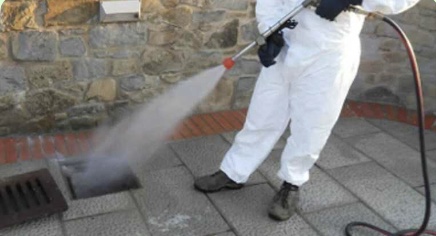 La Maddalena, disinfestazione in tutta la città contro zanzare, pulci e blatte