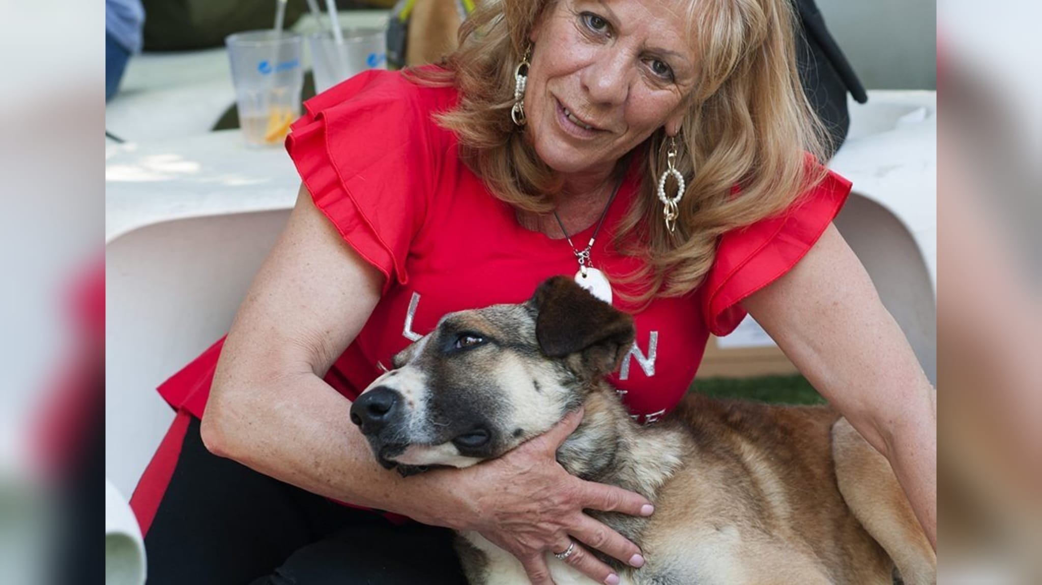 Olbia, LIDA: la richiesta di sostegno ai cittadini per poter aiutare gli animali