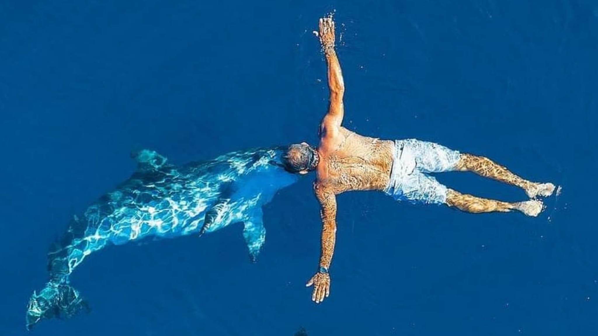 Golfo Aranci, il bacio del delfino: lo scatto magico di un legame unico