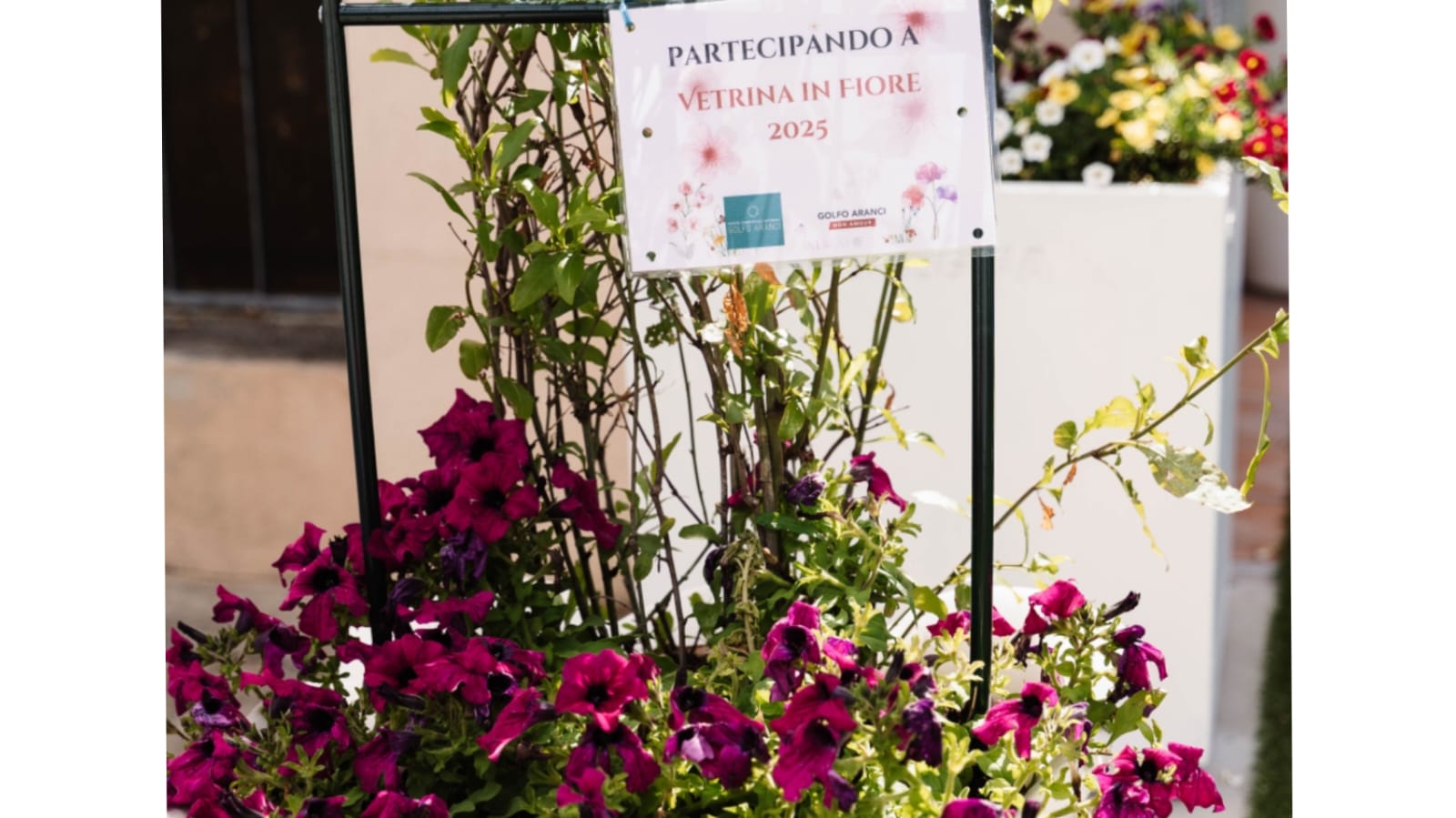 Golfo Aranci, grande successo per “Vetrina in fiore”, l’evento tra le vie del paese