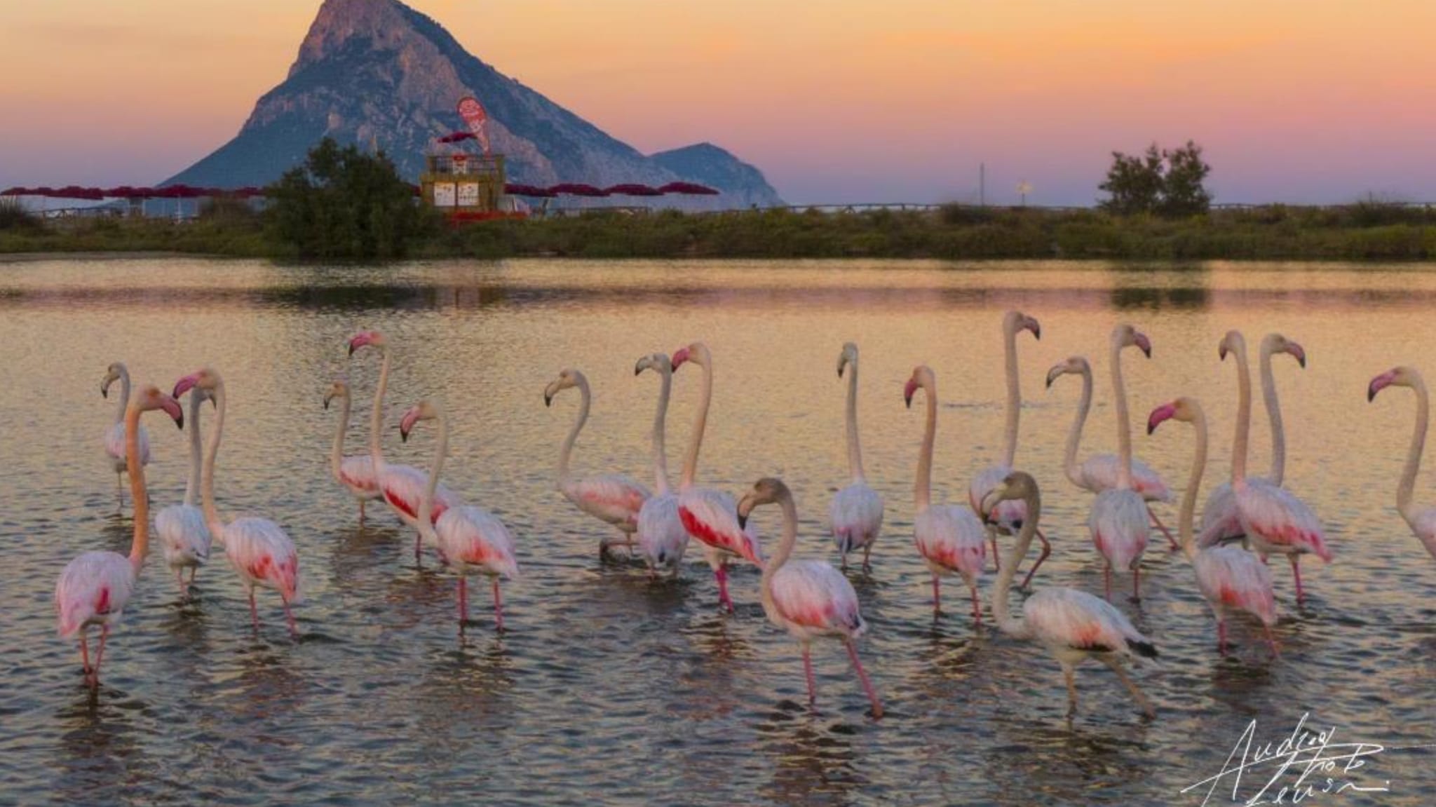 Porto Taverna, La Regina, i fenicotteri e il tramonto