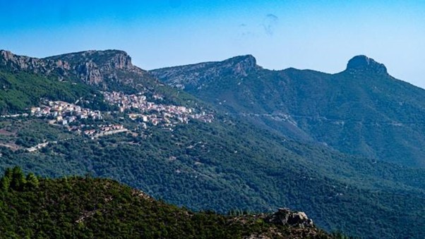 Turismo: idee e consigli su cosa vedere nella Sardegna interna