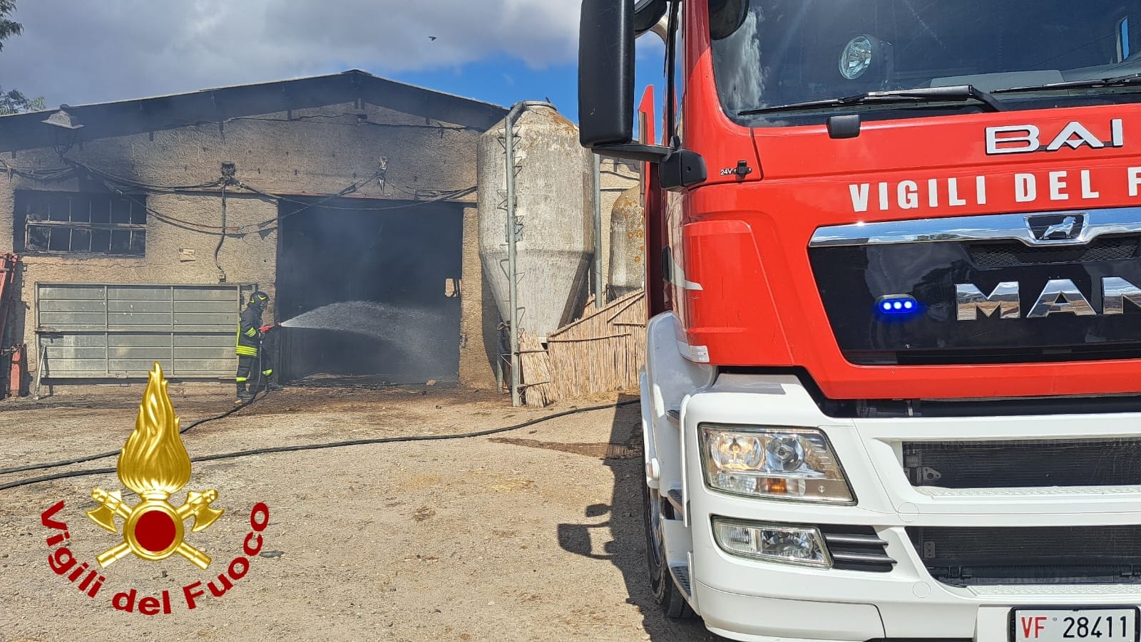 Nord Sardegna, fiamme in azienda agricola: vitelli tratti in salvo