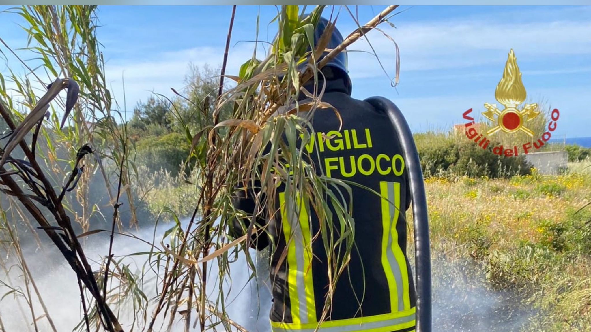 Vegetazione in fiamme: in azione i vigili del fuoco