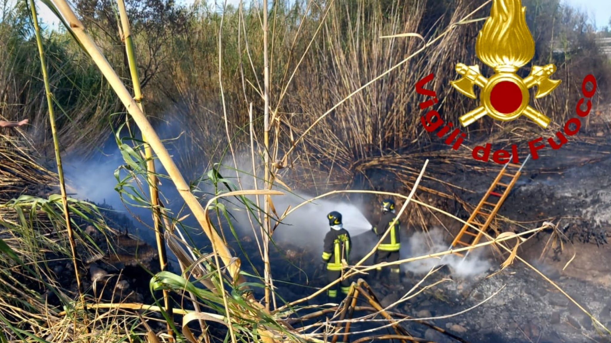 Olbia, Murta Maria: incendio di vegetazione